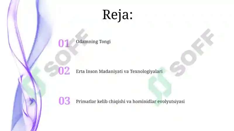 Primatlar kelib chiqishi va hominidlar evolyutsiyasi 2