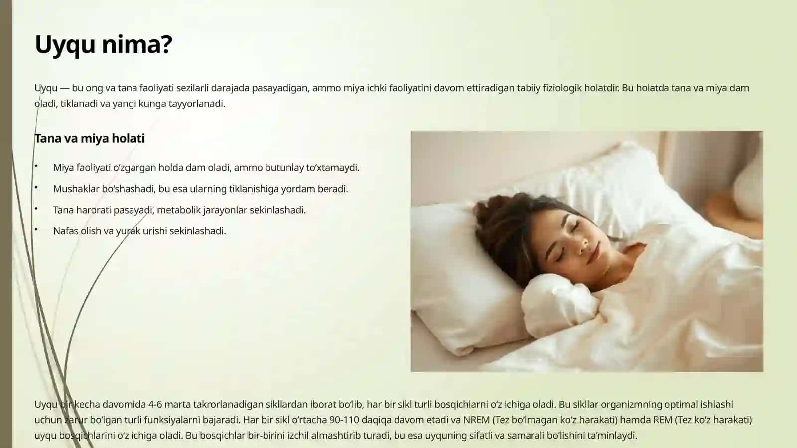 Uyqu va uning ahamiyati (8-sinf Biologiya) 2