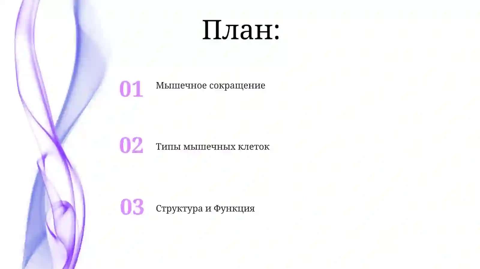 Мышечная клетка 2