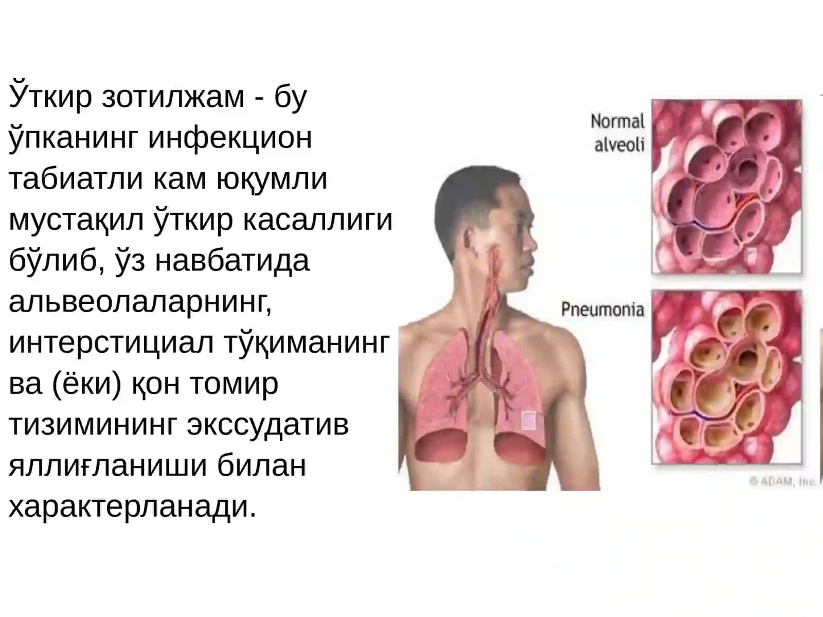 Ўткир зотилжамлар 2