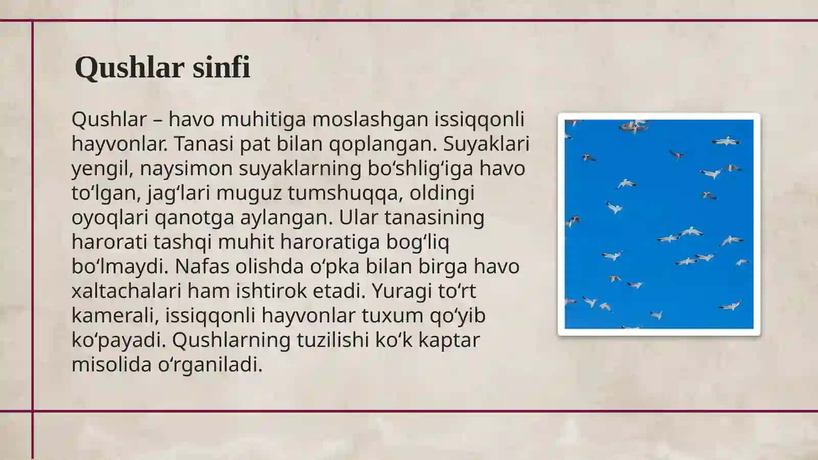 Qushlarning tashqi va ichki tuzilishi 2