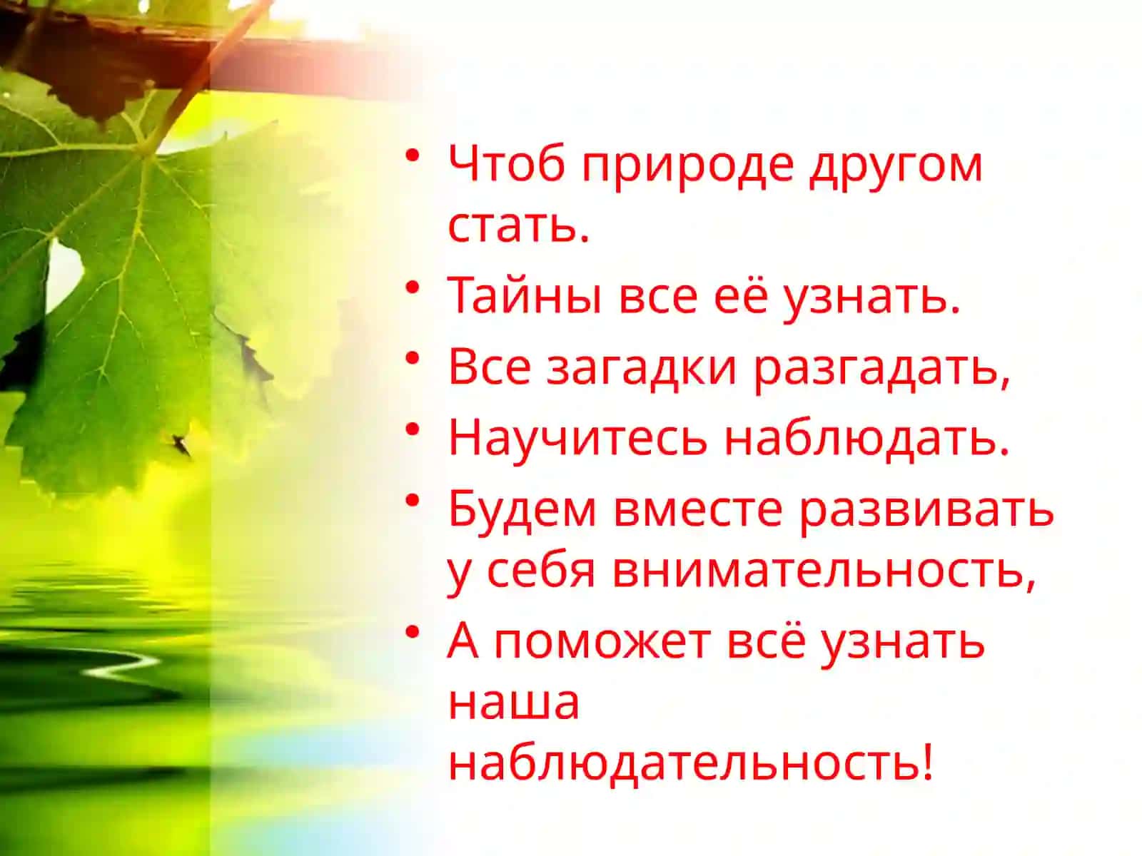 Воздействие человека на природу 2