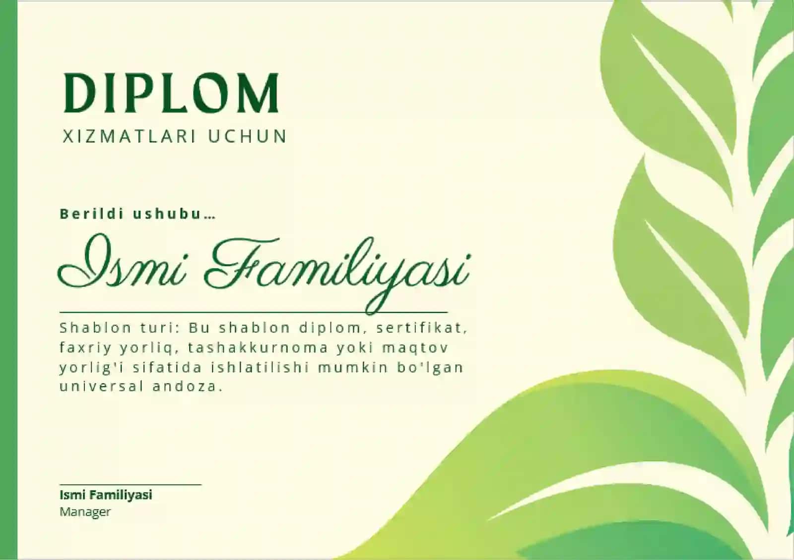 DIPLOM 2