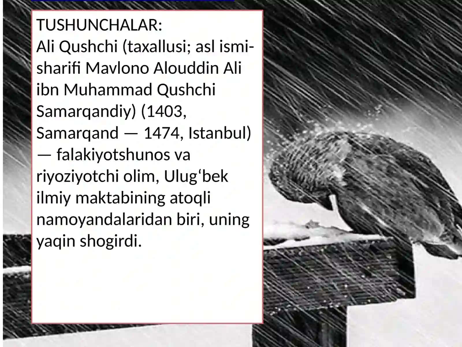 Amir Temurdan keyin saltanat 2