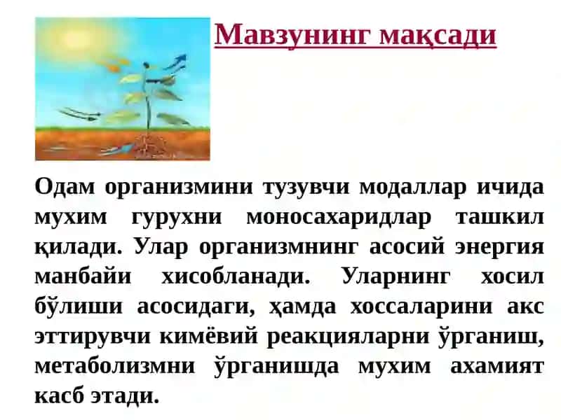 Карбонсувлар. Моносахаридлар. Тузилиши хоссалари ва функциялари 2