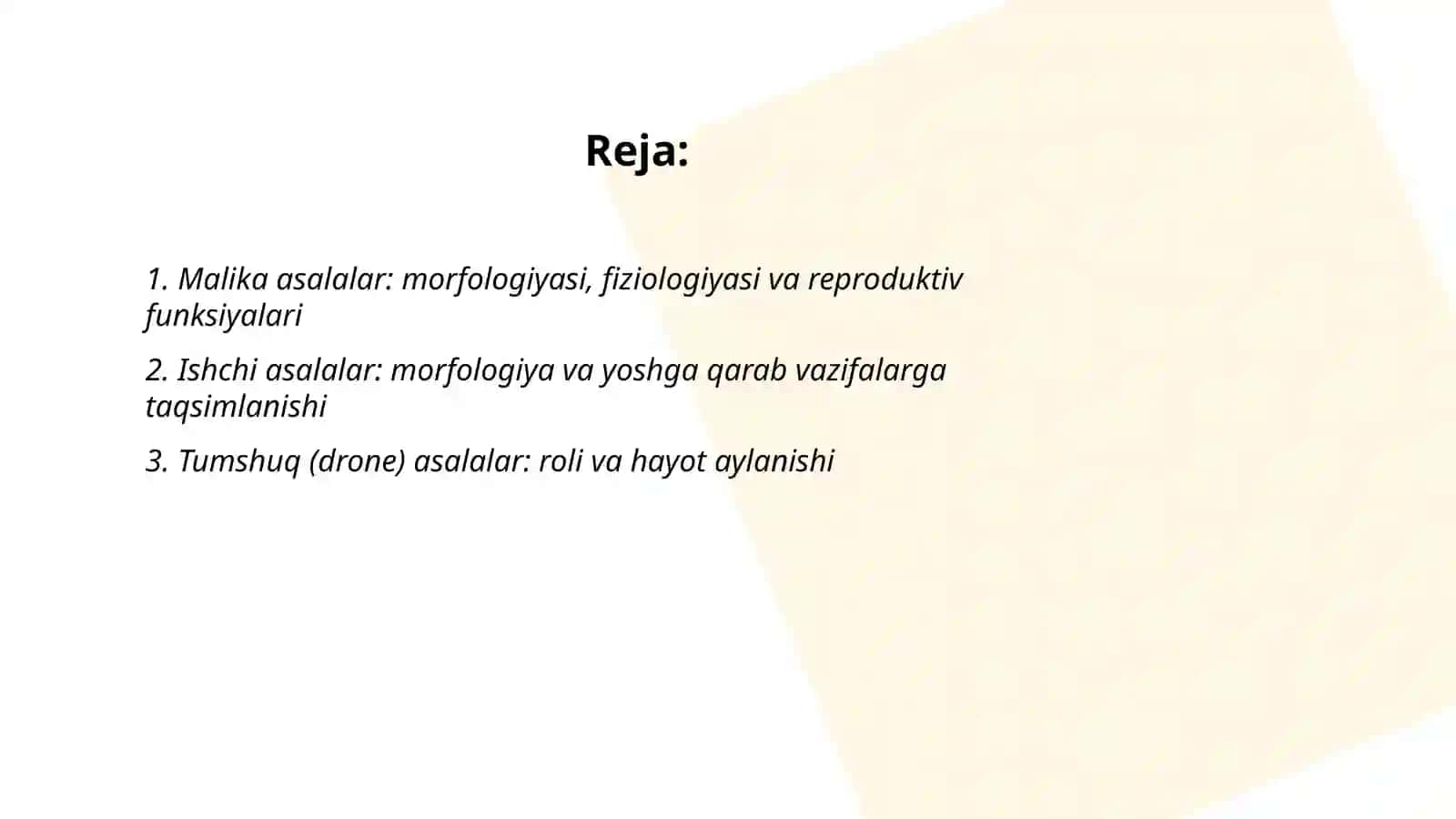 Asalari oilasi tarkibi 2