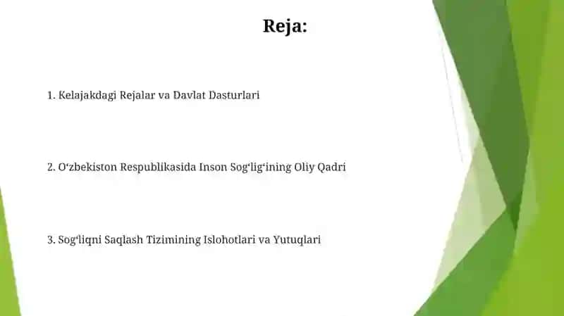 Rejalar va Davlat Dasturlari 2