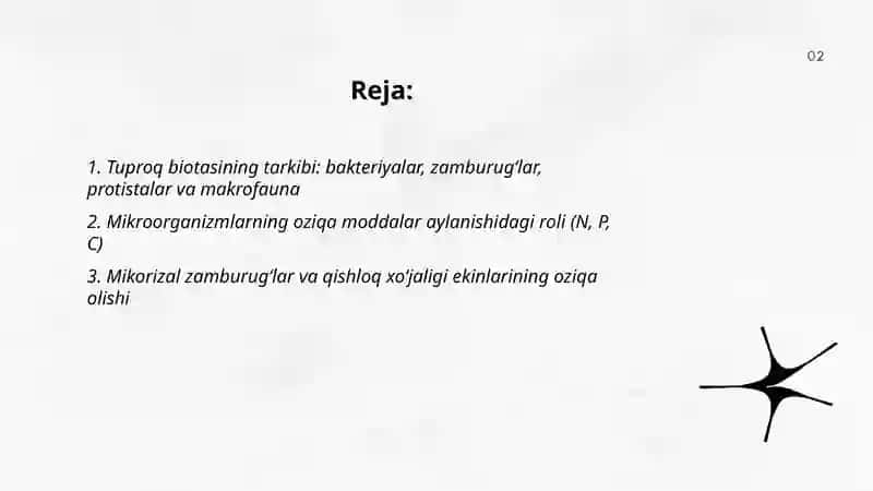 Tuproq biotasi va uning qishloq xoʻjaligi ekinlari rivojidagi ahamiyati 2