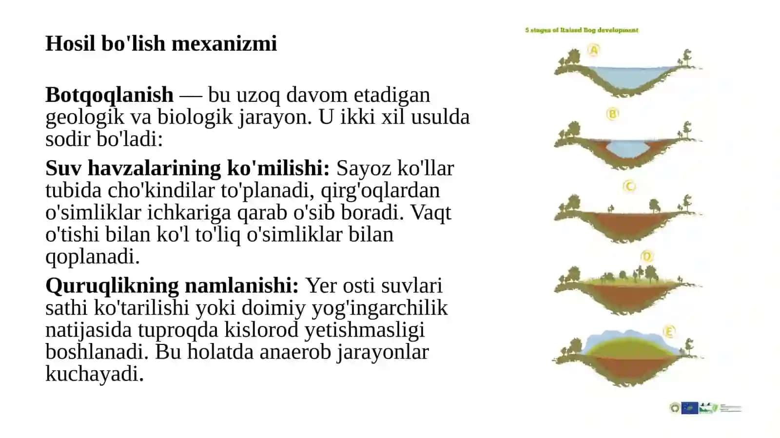 Botqoqliklar mavzusida taqdimot 2
