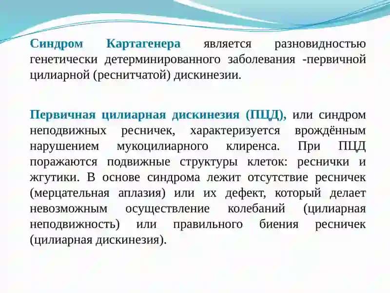 Картагенер синдроми 2