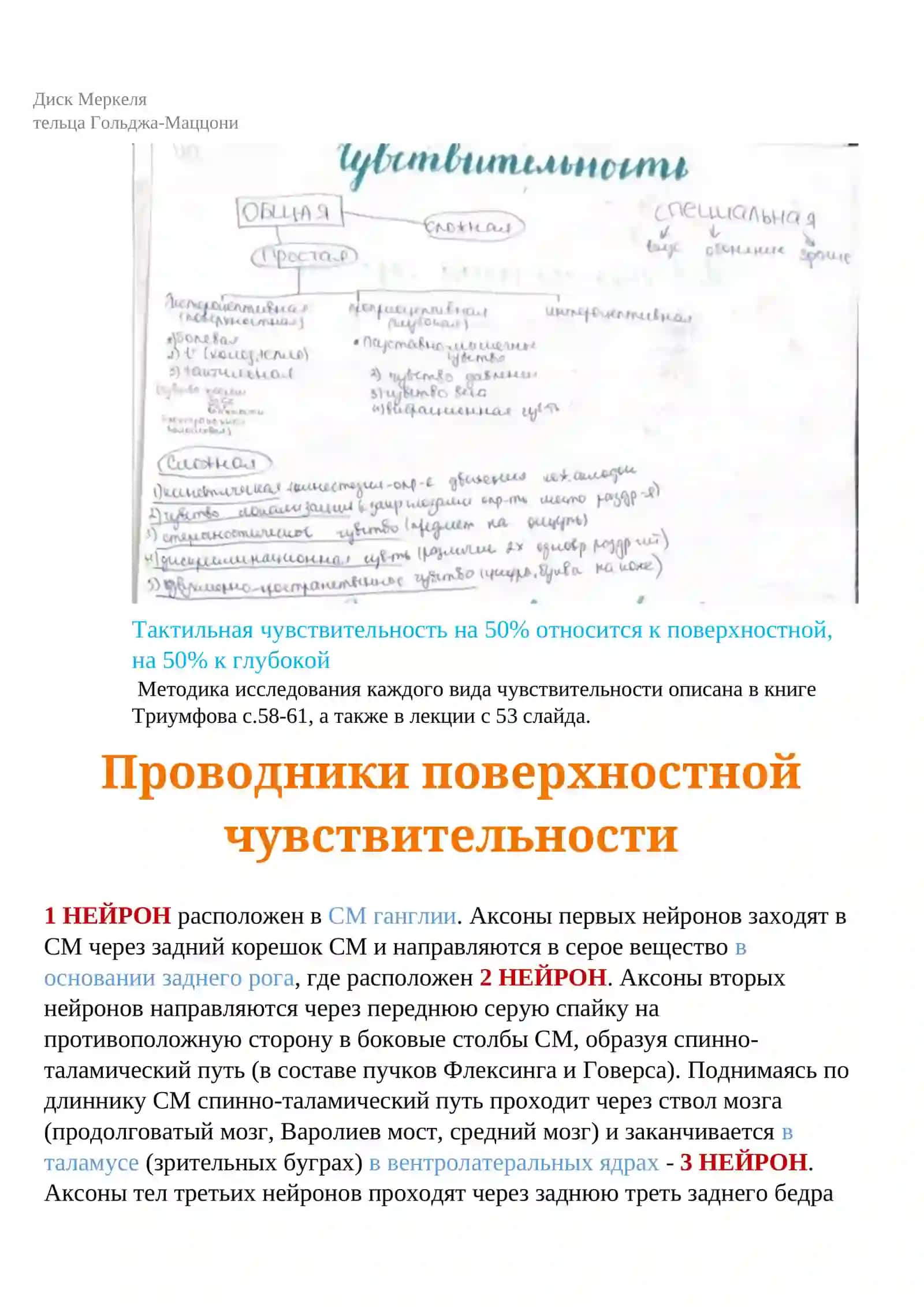 Чувствительная сфера 2