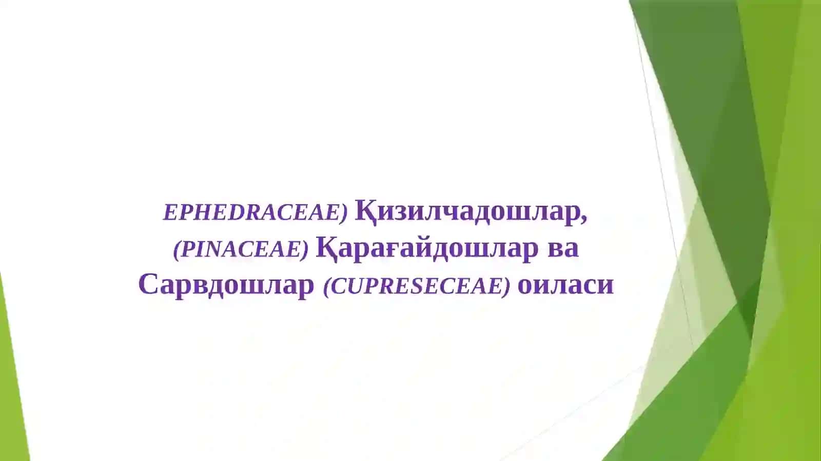 Эфедрадошлар (Ephedraceae) оиласи 2