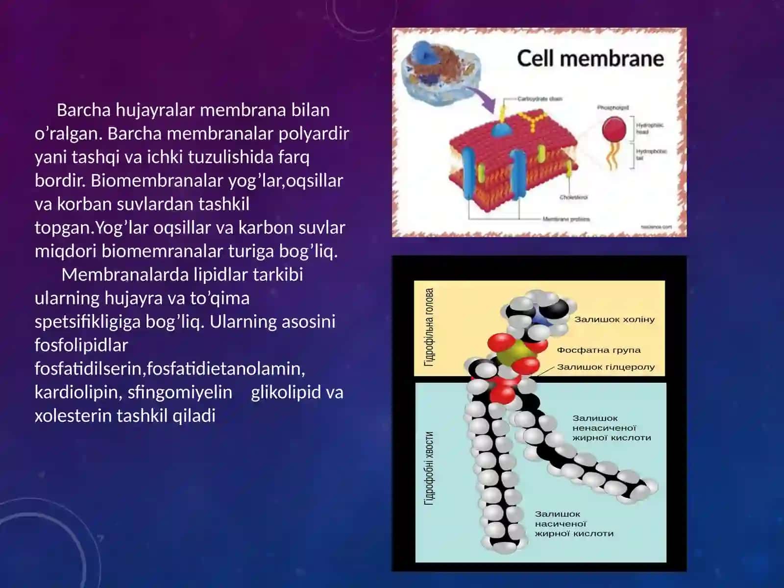 Membranalarning signal o’tkalizishidagi ahamiyati 2