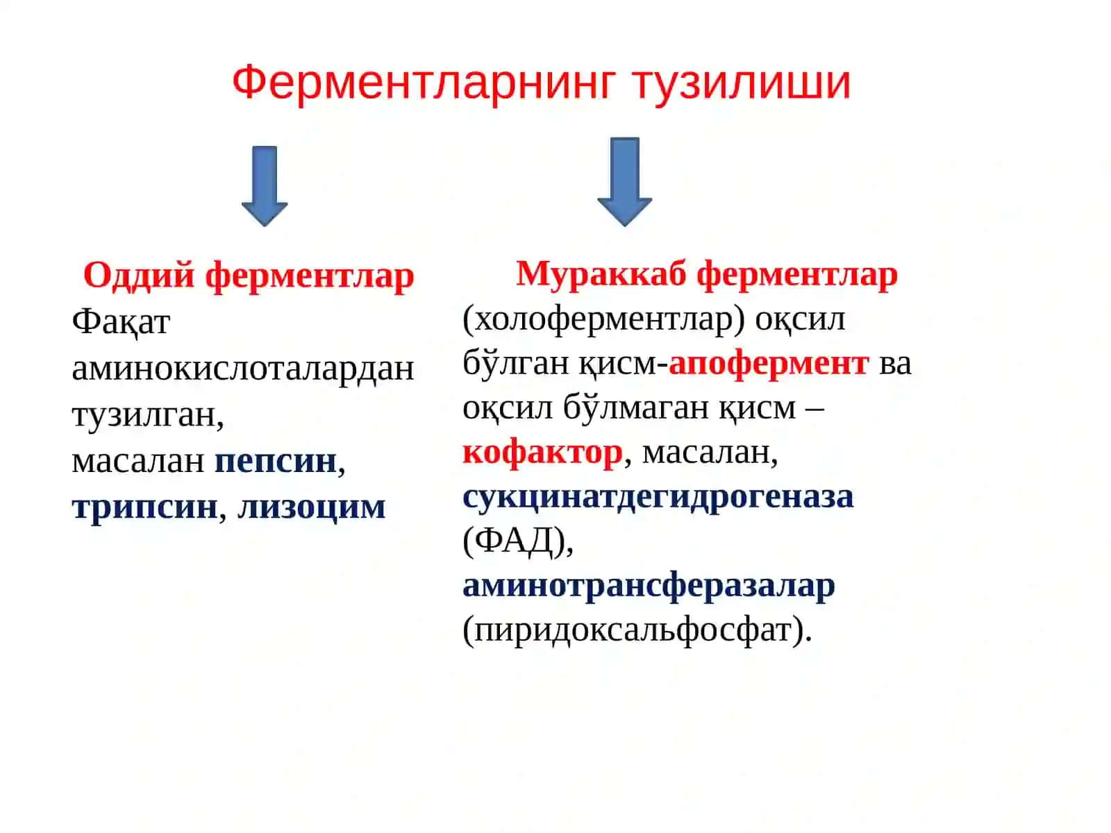 Ферментларни кимёвий таркиби, тузилиши ва вазифалари 2