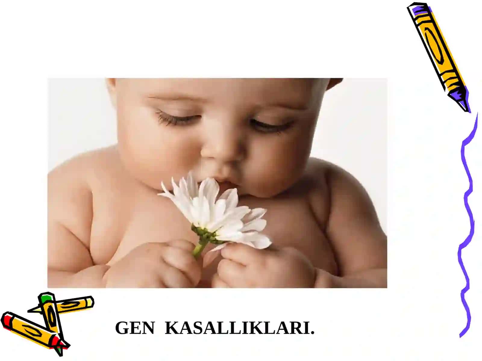 Aminokislotalarning nasliy kasalliklari 2