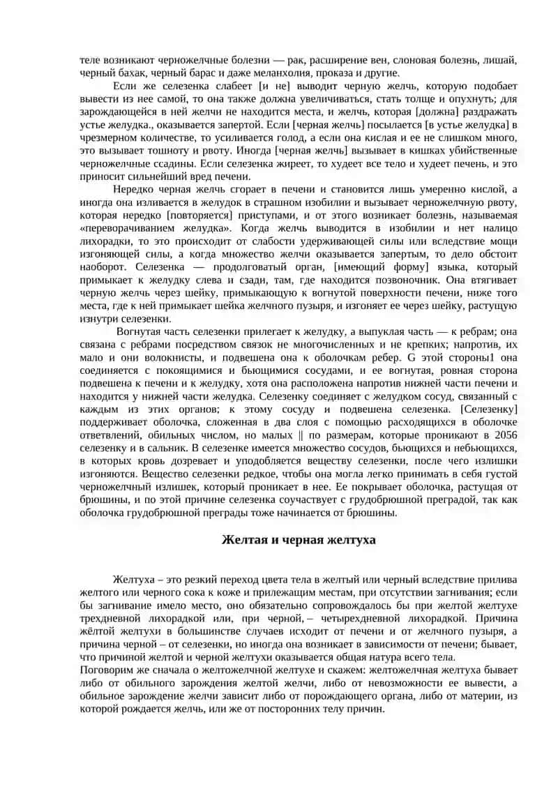 Анатомия желчного пузыря и селезенки 2