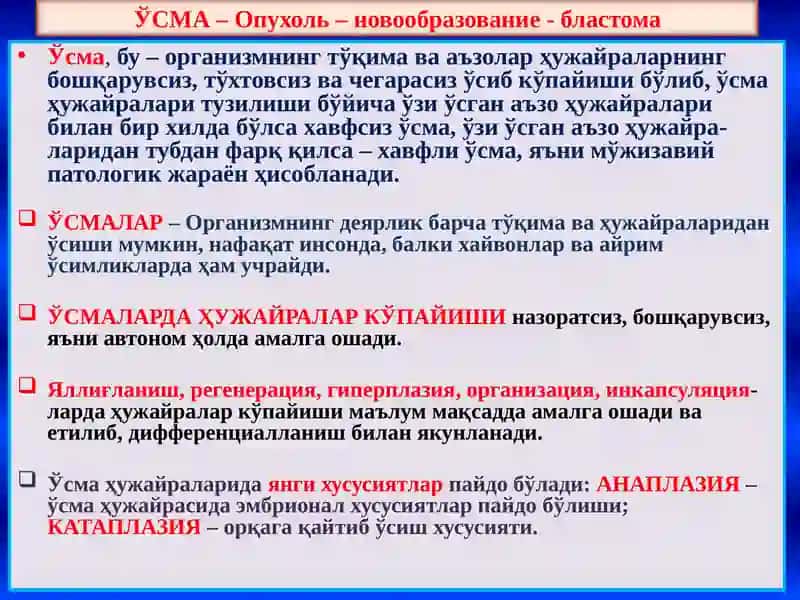 ЎСМАЛАР 2