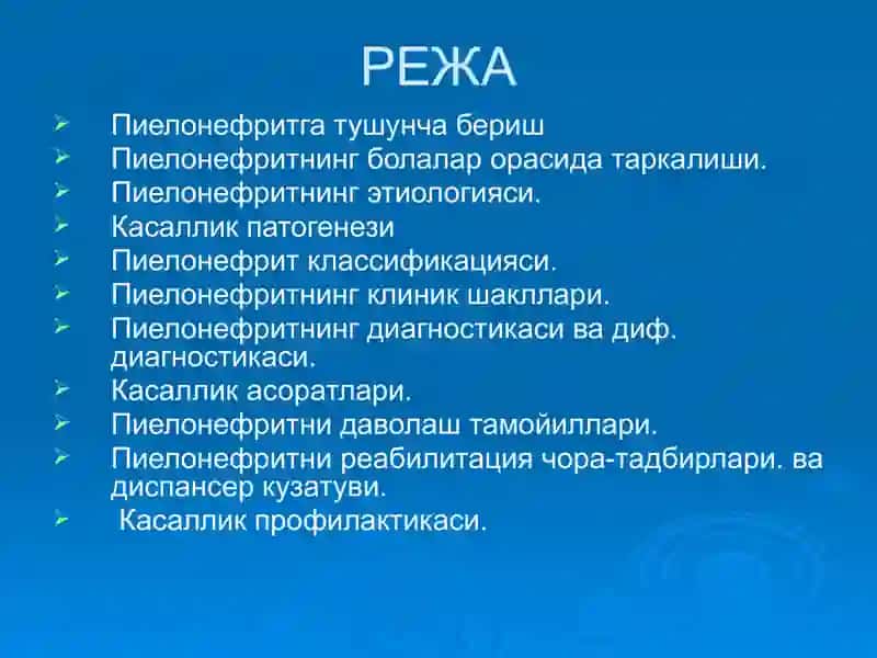Пиелонефритлар 2