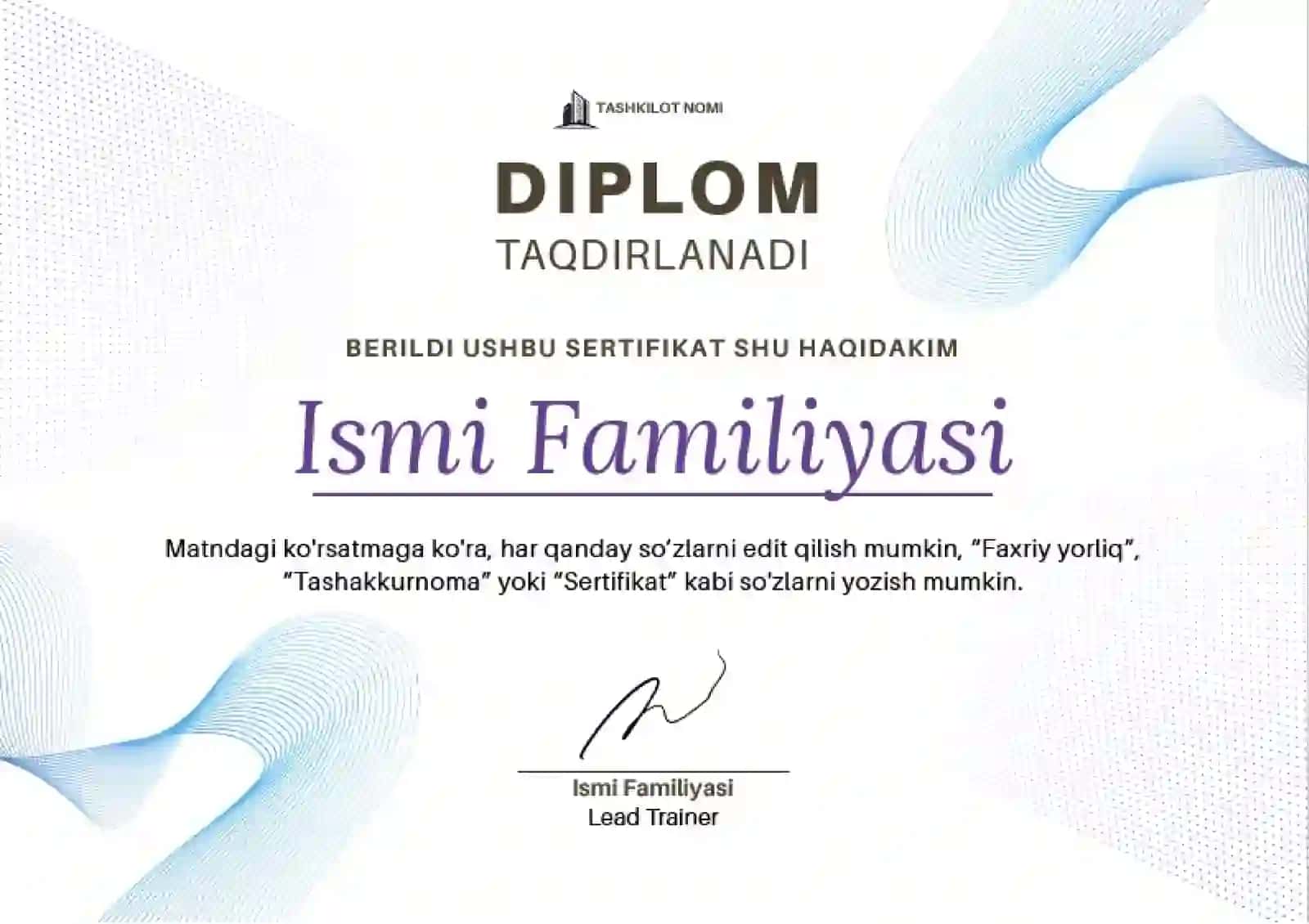 DIPLOM 2