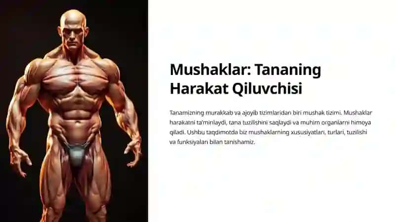 Mushaklar 2