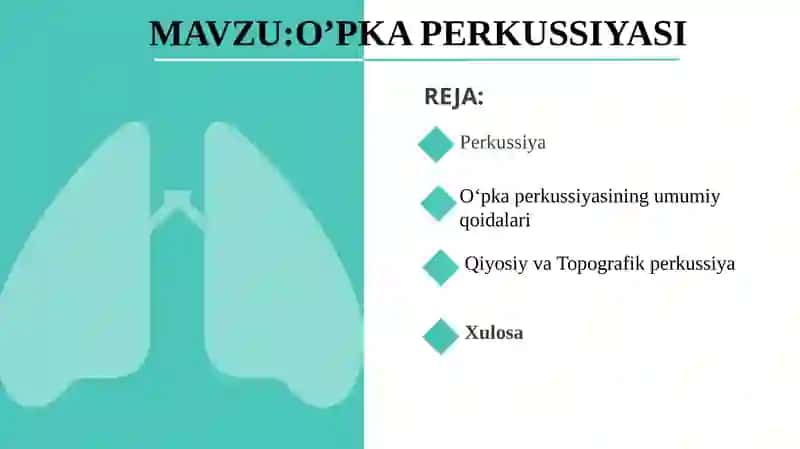 O’PKA PERKUSSIYASI 2