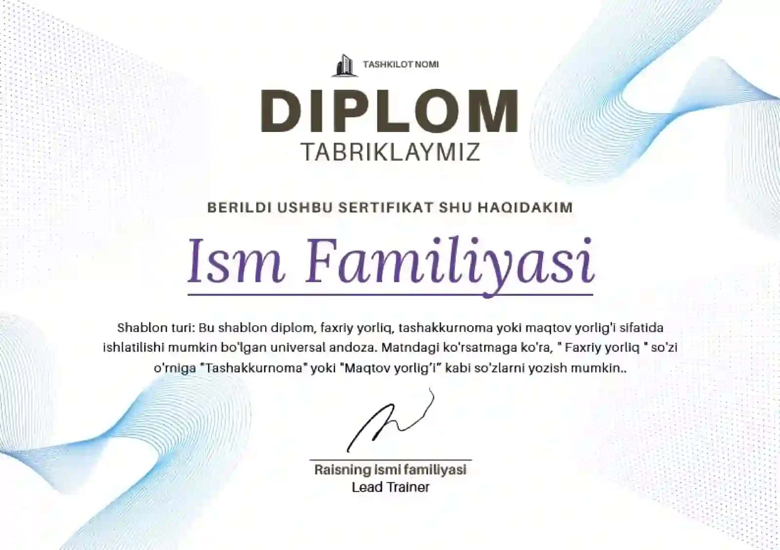 DIPLOM 2