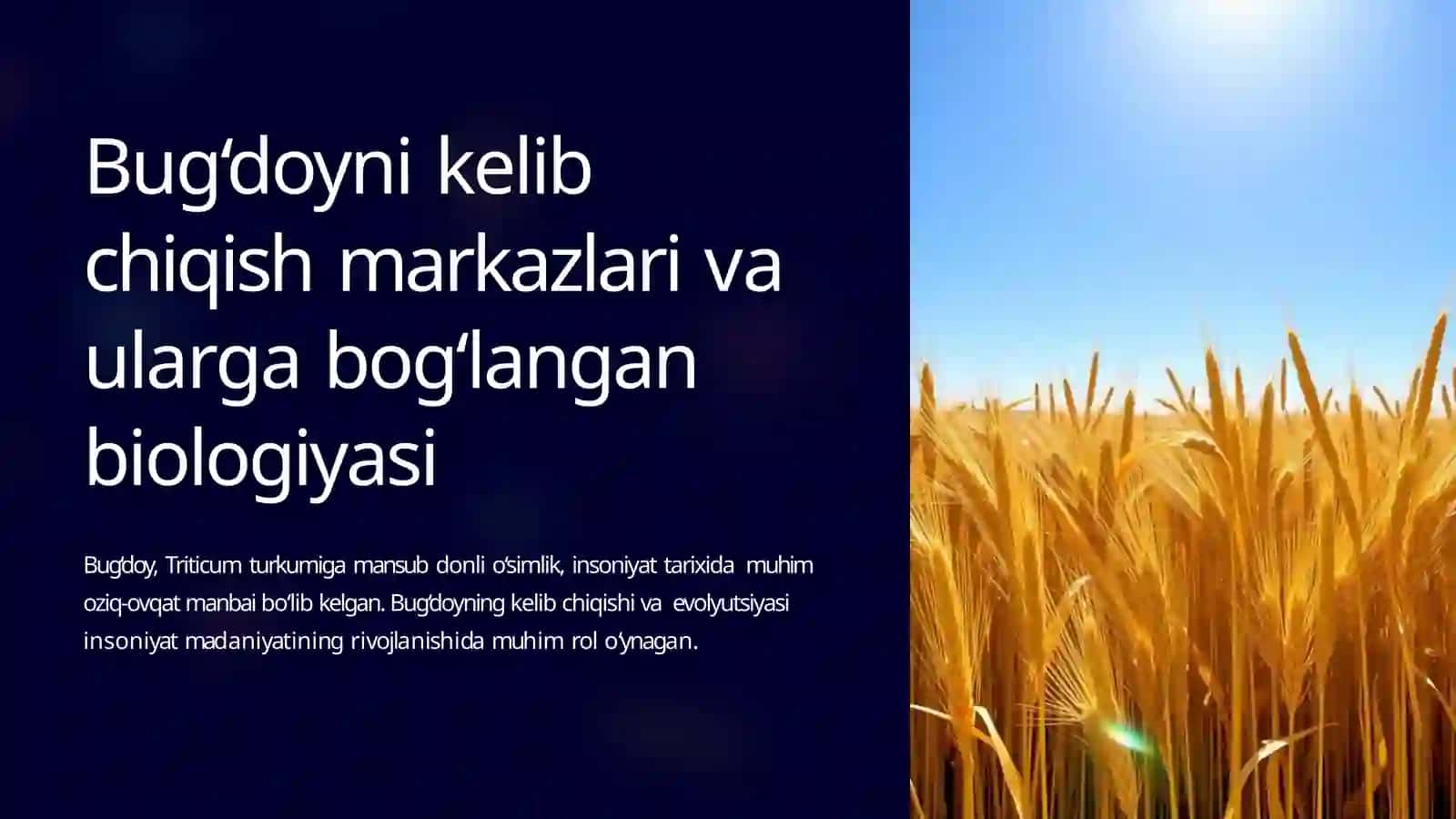 Bug‘doyni kelib  chiqish markazlari va  ularga bog‘langan  biologiyasi 2