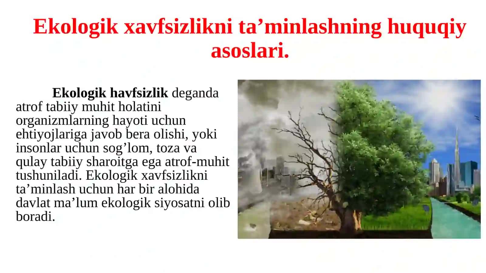 Ekologik xavfsizlikni ta’minlash 2