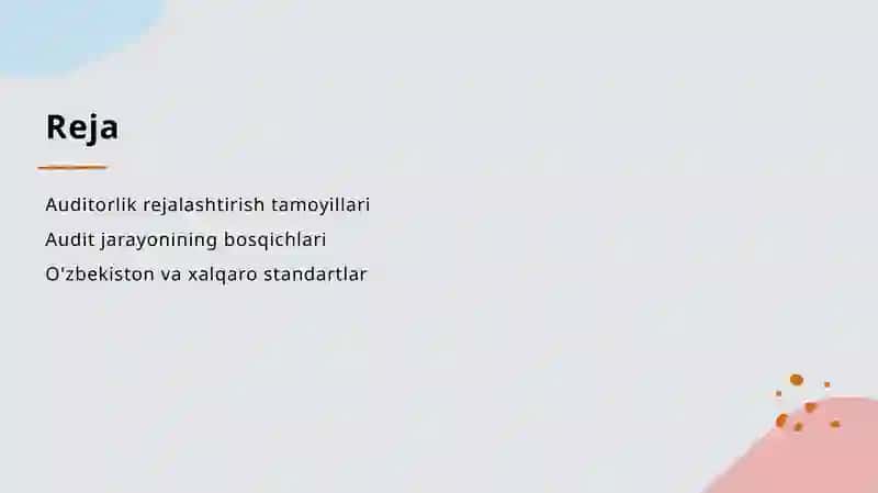 Auditorlik tekshiruvini rejalashtirishning tamoyillari va bosqichlari 2