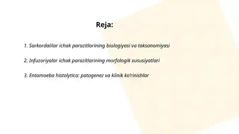 Sarkordalilar va infuzoriyalar ichak paraziti 2