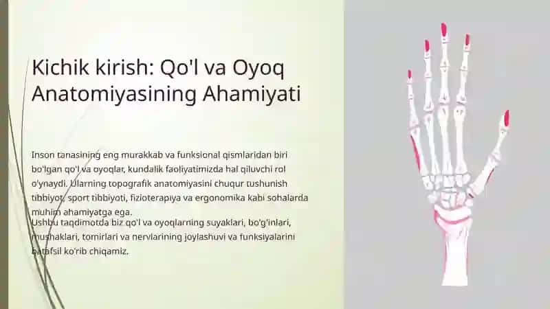 Qo'lva Oyoq Topografiyasi 2