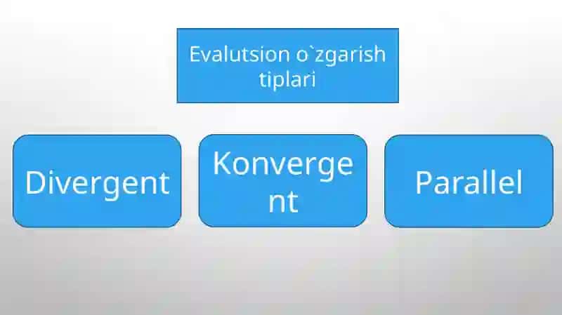 Evalutsiono`zgarishlarning tiplari 2