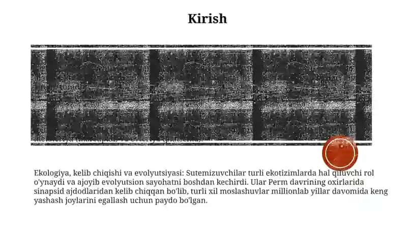 Sut Emizuvchilarning Sistematikasi 2