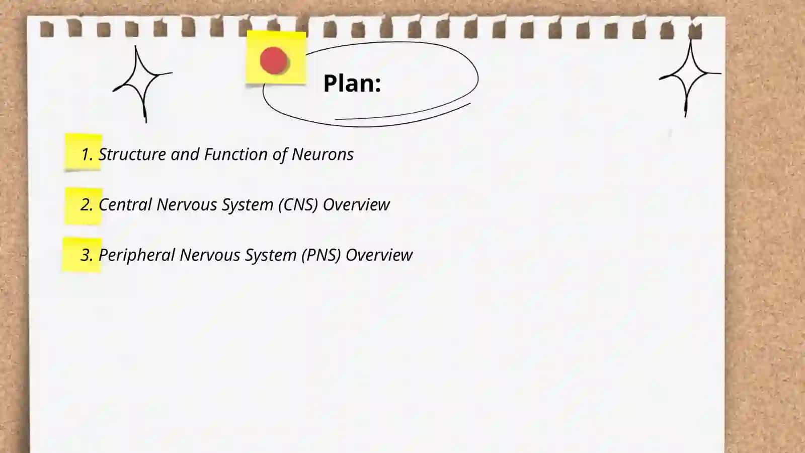 Presentation on Nervous System 2