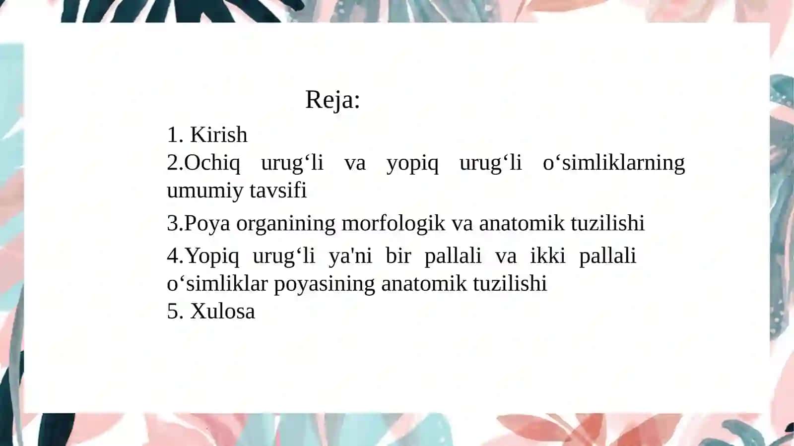 Ochiq urugʻli va yopiq urugʻli oʻsimliklar poyasining anatomik tuzilishidagi oʻziga xosligi 2
