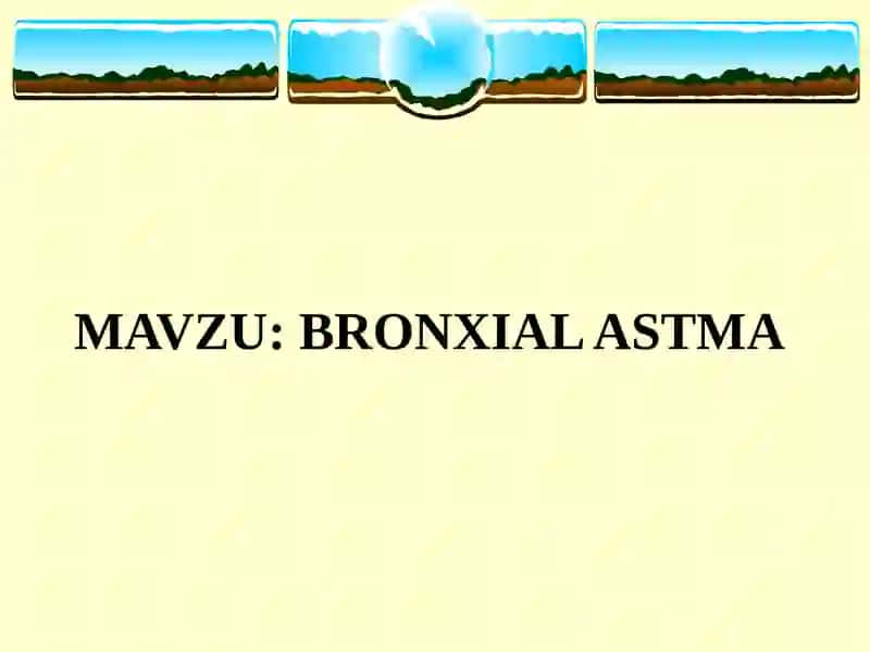 BRONXIAL ASTMA 2