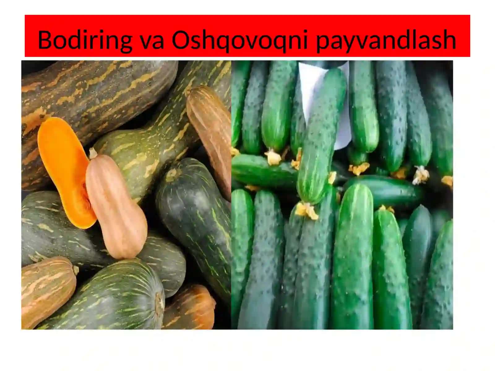 Kimyotexnalogiya fakulteti Biotexnalogiya yo’nalishi 2