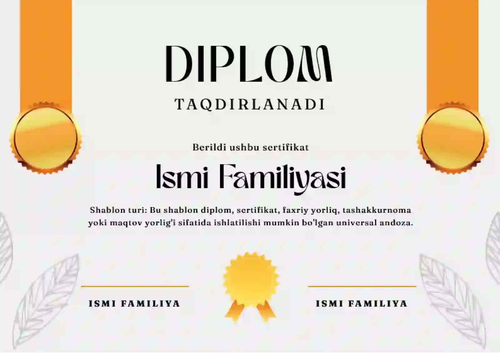 DIPLOM 2