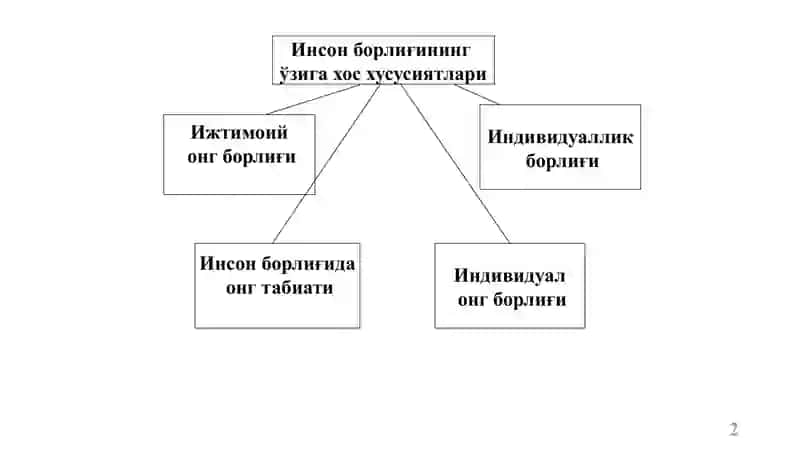 Insonfalsafasi(Falsafiyantropologiya) 2