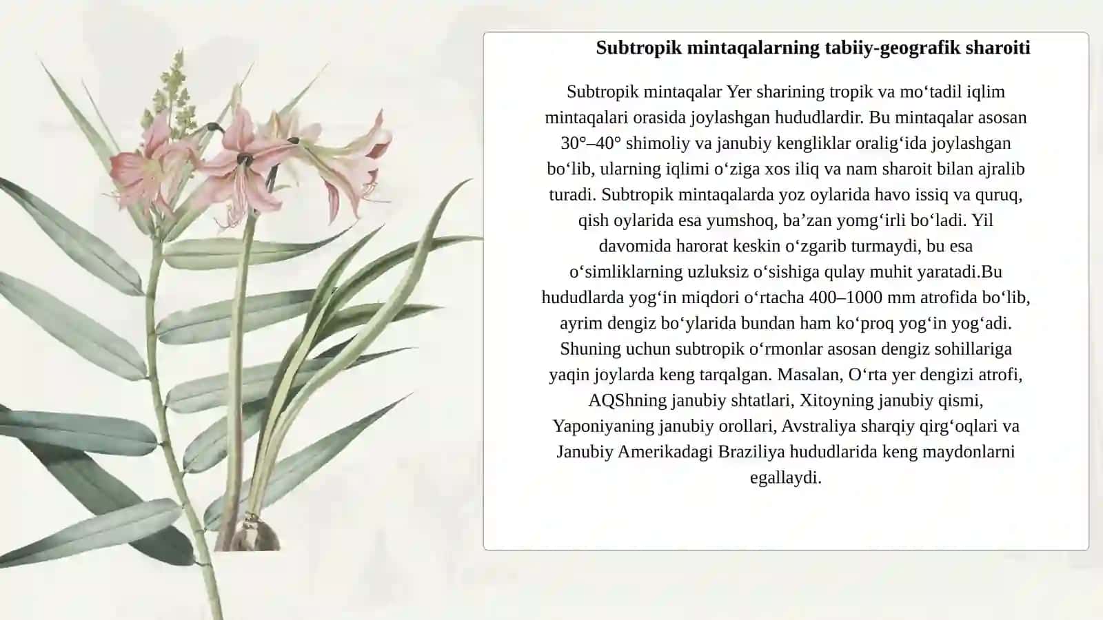 Subtropik mintaqalarning o‘rmonlari 2