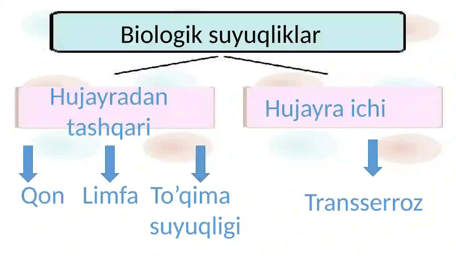 biologik suyuqliklari 2