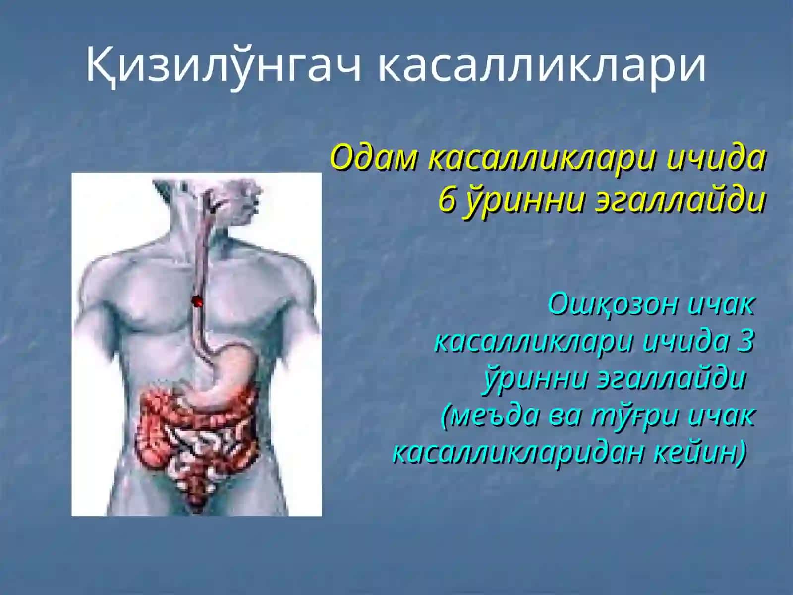 Қизилўнгач, кўкс оралиғи ва диафрагма касалликлари 2