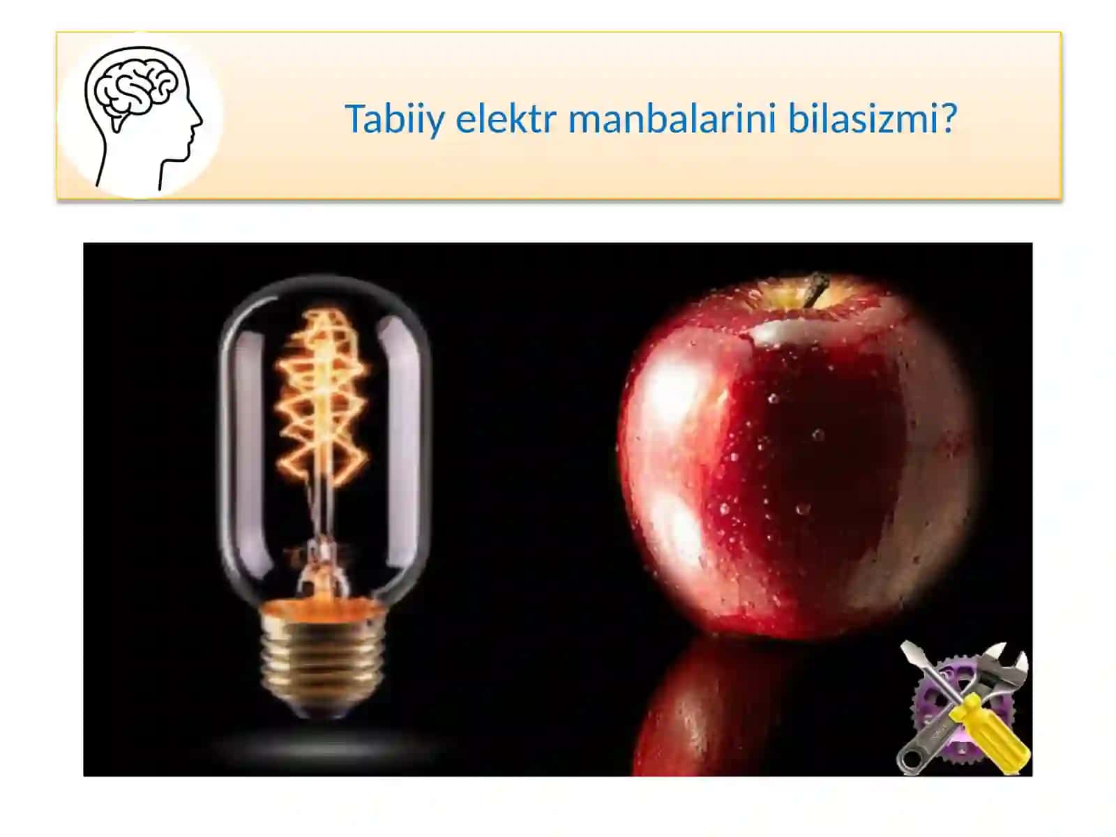 Mavzu: Meva va Sabzavotlardan Elektrolish 2
