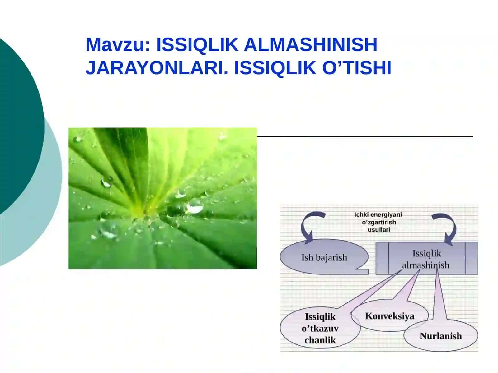 Bioreaktorlar, apparatlar va jayonlar fanidan MUSTAQIL ISHI 2