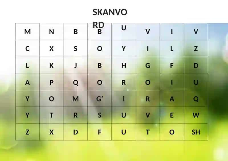 SKANVORD 2