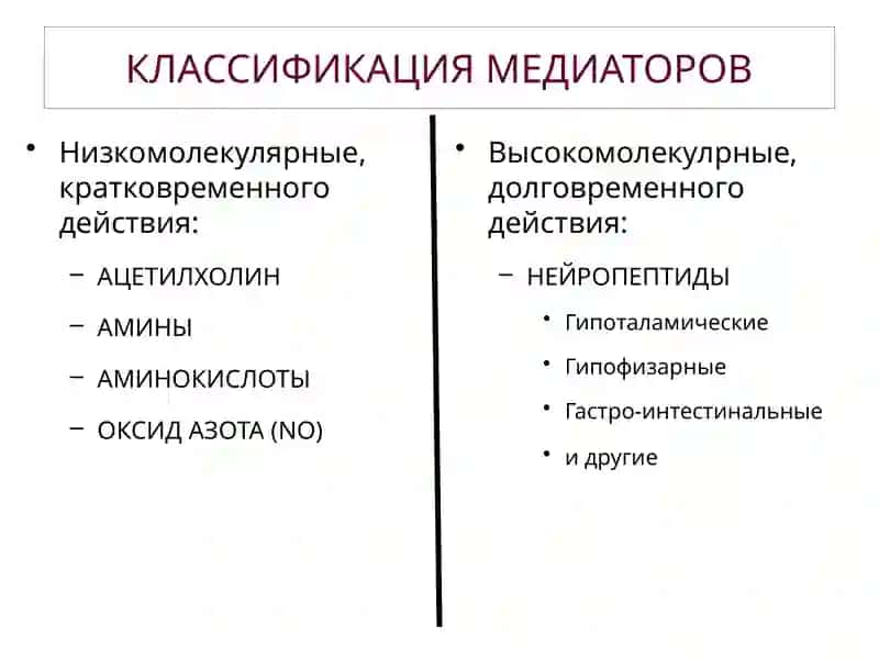 НЕЙРОМЕДИАТОРЫ 2
