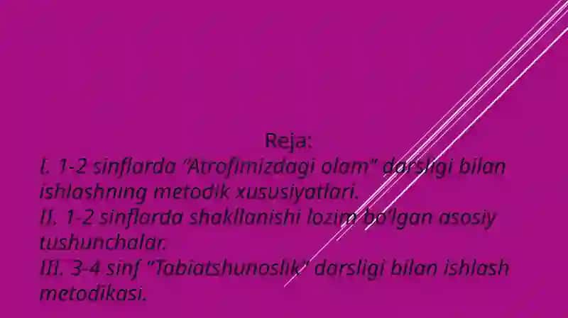 BOSHLANGICHTAʼLIMTABIY FANLAR FANIDAOʻQITISHNINGDIDAKTIK TAMOYILLARINIOʻRGANISHVA TAHLIL QILISH 2