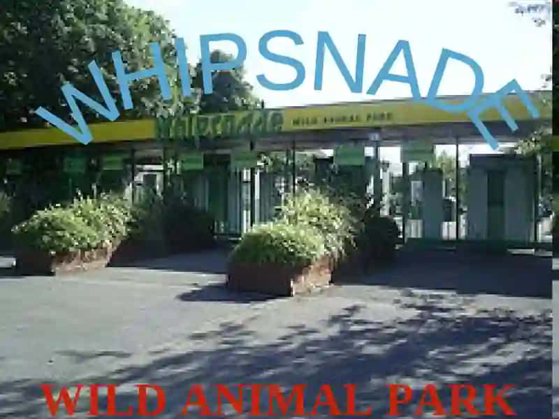Whipsnade Wild Animal Park 2