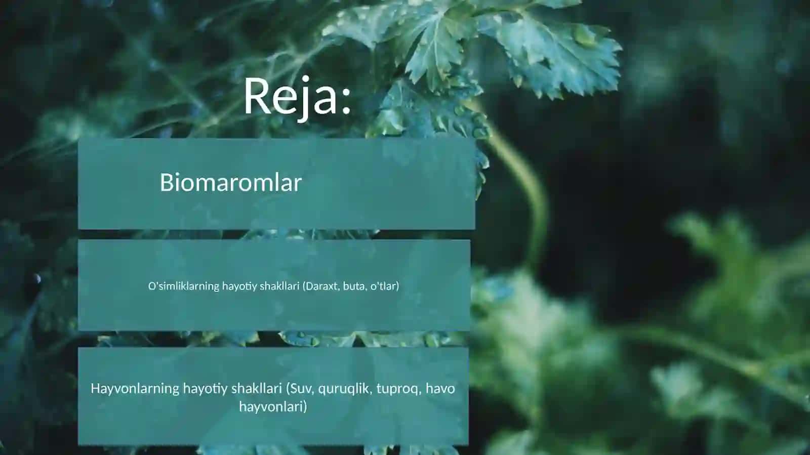 Biomlarvatirikorganizmlarninghayotiyshakllari 2