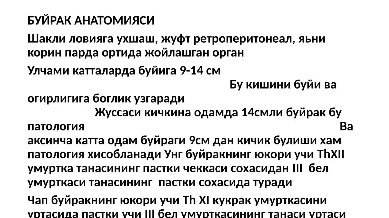 Буйрак анатомияси 2